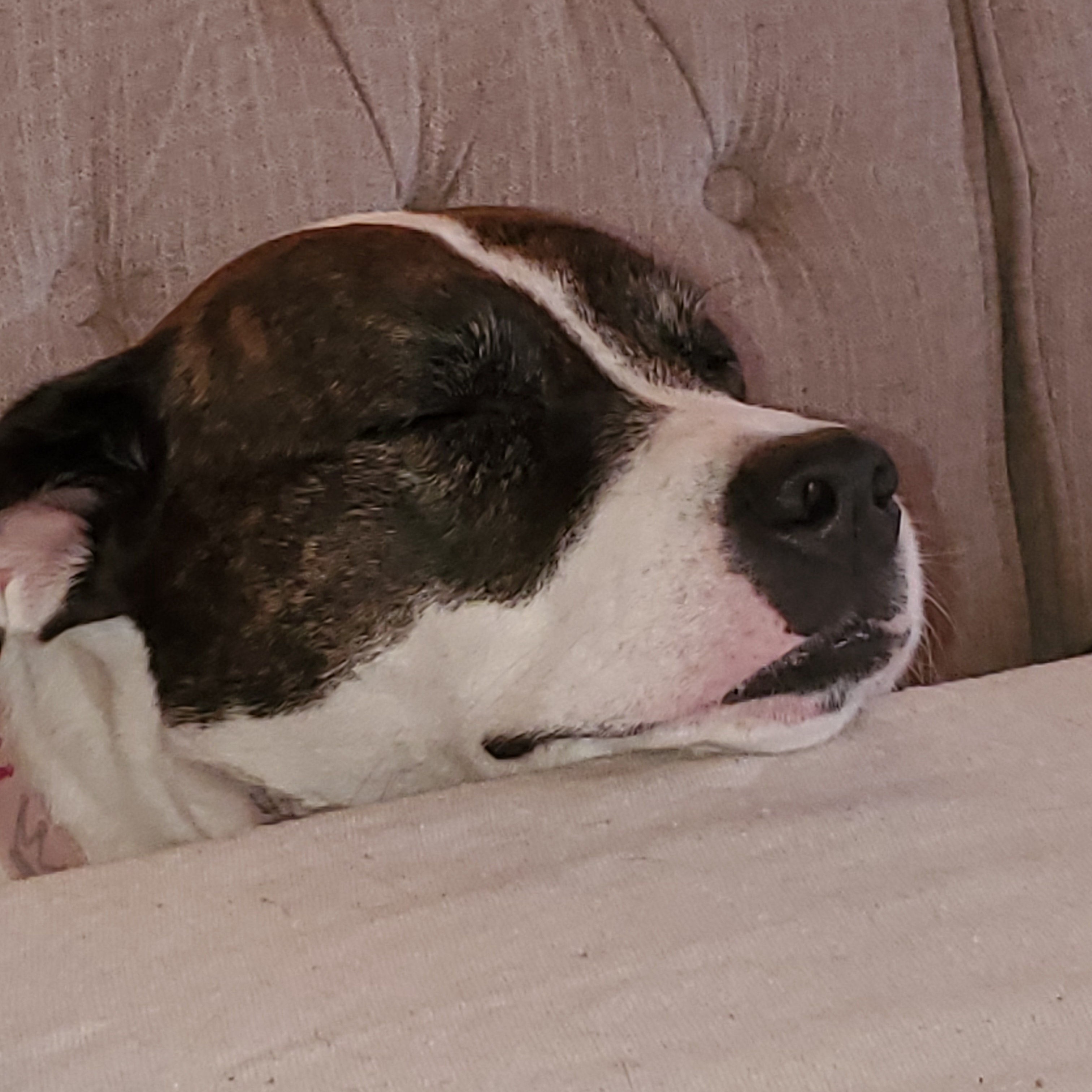 Max